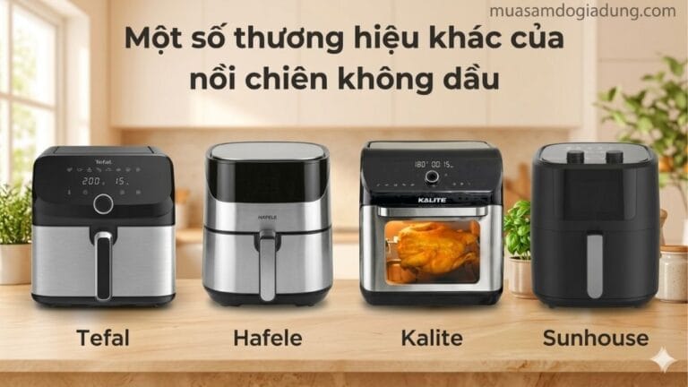 Các thương hiệu nồi chiên không dầu trên thị trường với nhiều kiểu thiết kế và phân khúc khác nhau